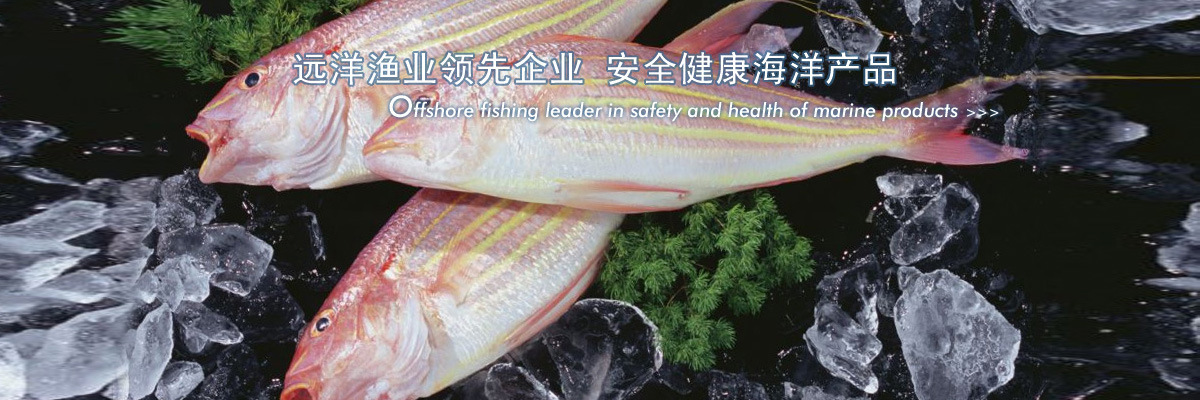 远洋渔业领先企业 安全健康海洋产品